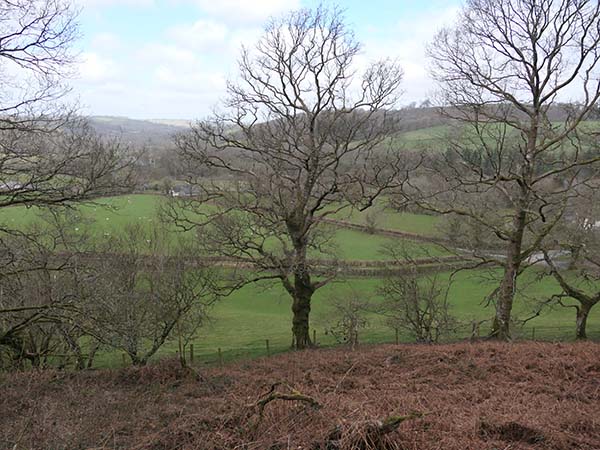 Dolaucothi