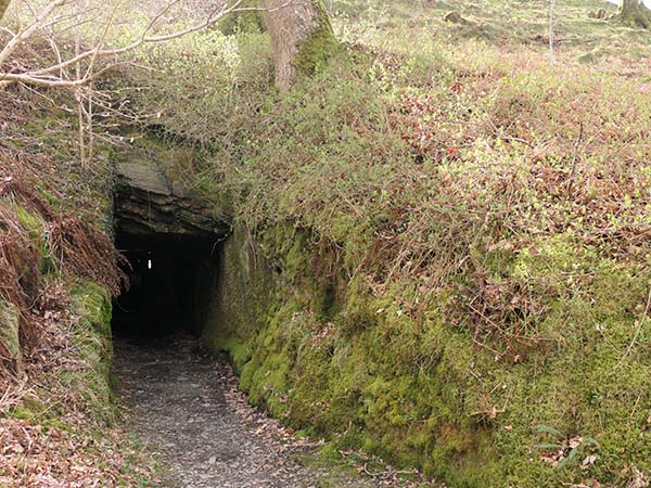 Dolaucothi