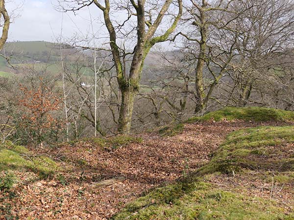 Dolaucothi