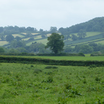 wells11.jpg