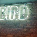 bird-4.jpg