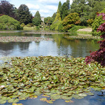 sheffield-park01.jpg