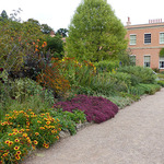 killerton01.jpg
