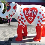 luton-elephant-1.jpg