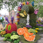 chelsea-bloom-2024-1.jpg