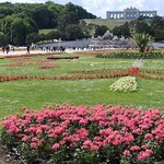 schoenbrunn-may-1.jpg