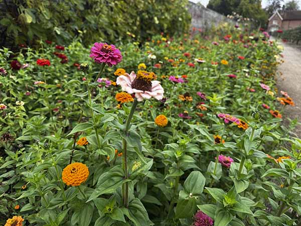 audleyendhouse-fall2025