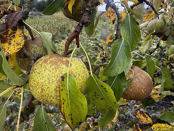 audleyendhouse-fall2025