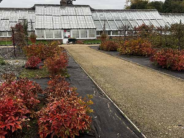 audleyendhouse-fall2025