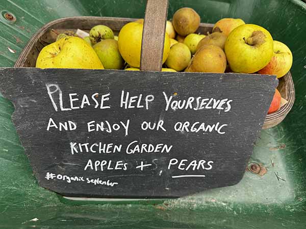 audleyendhouse-fall2025