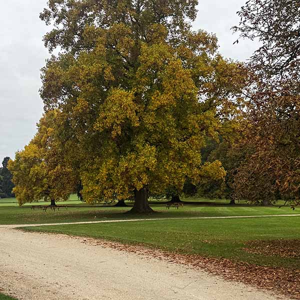 audleyendhouse-fall2025