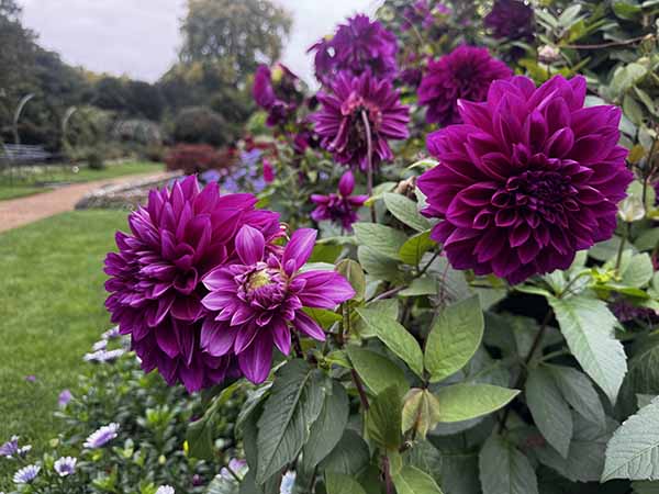 audleyendhouse-fall2025