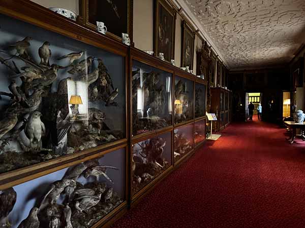 audleyendhouse-fall2025