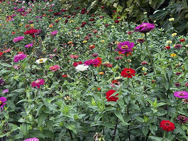 audleyendhouse-fall2025