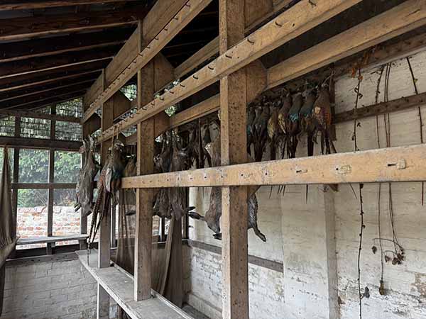 audleyendhouse-fall2025