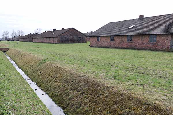 auschwitz