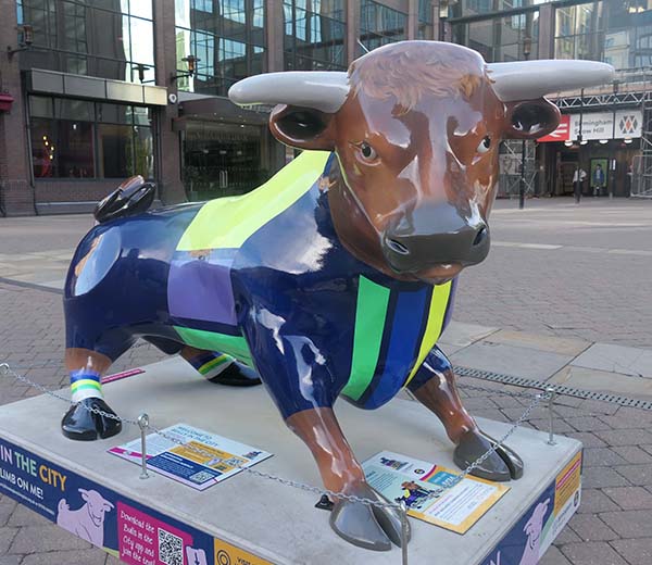 birmingham-bulls