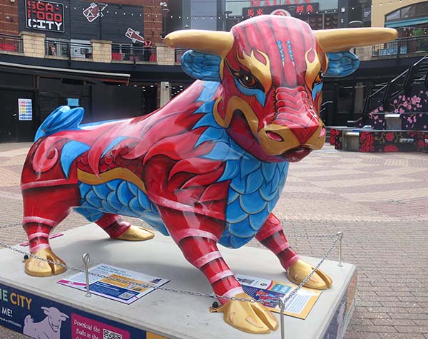 birmingham-bulls