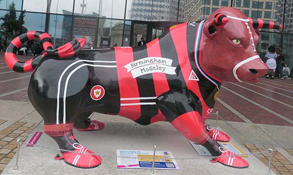birmingham-bulls
