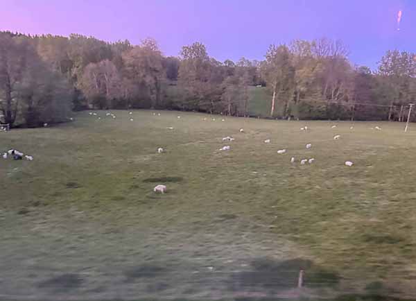 bluebell-railway-dinner