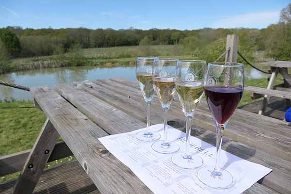 bluebell-winery