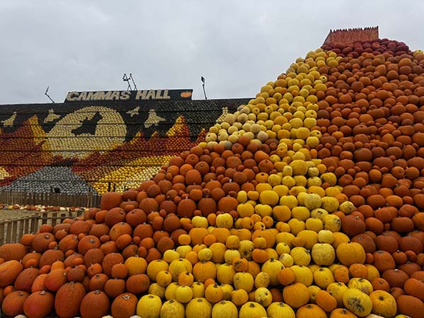 cammashall-pumpkins2025-1.jpg