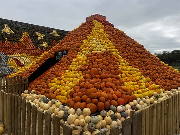 cammashall-pumpkins2025