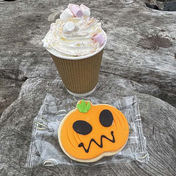 cammashall-pumpkins2025