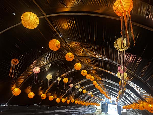 cammashall-pumpkins2025