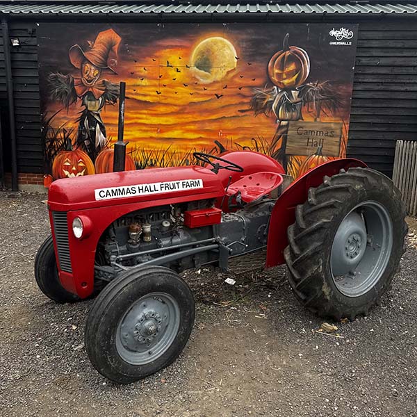 cammashall-pumpkins2025