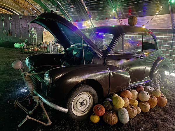 cammashall-pumpkins2025