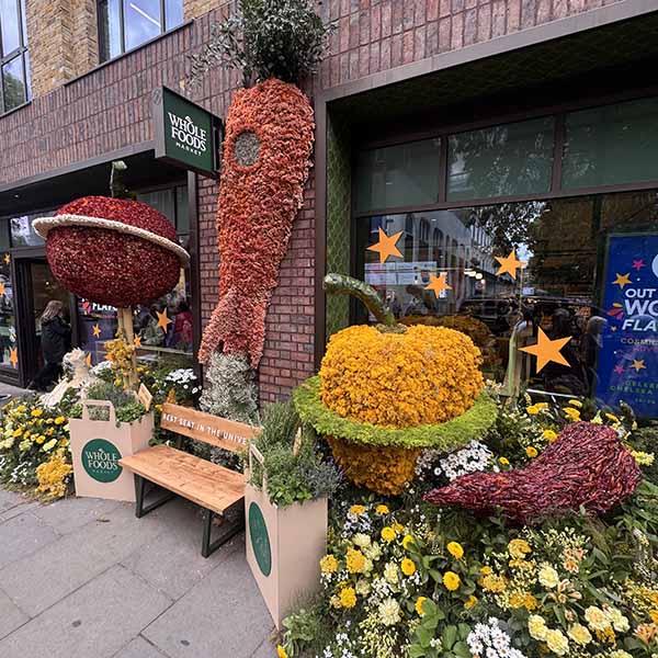 chelseainbloom2026