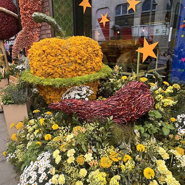 chelseainbloom2026