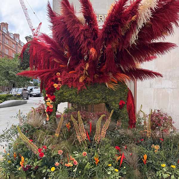 chelseainbloom2026