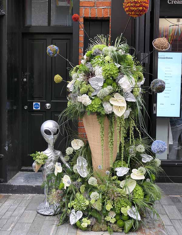 chelseainbloom2026