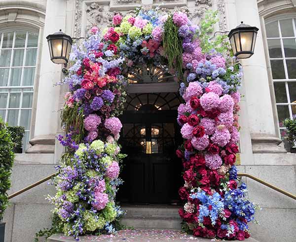 chelseainbloom2026