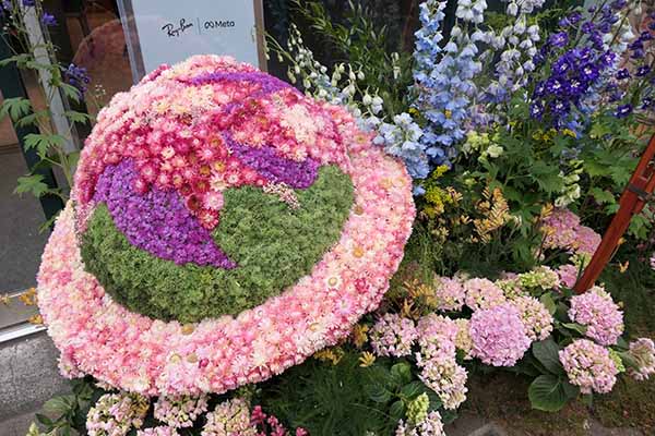 chelseainbloom2026