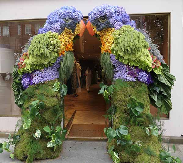 chelseainbloom2026