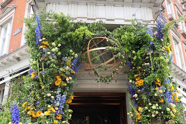 chelseainbloom2026