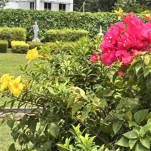 colombo-092026