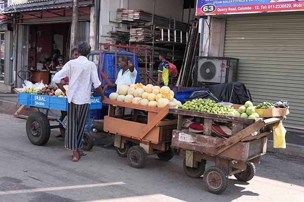 colombo-092026