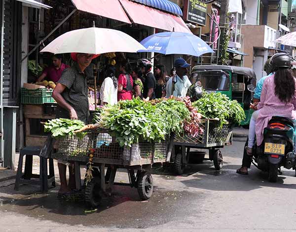 colombo-092026