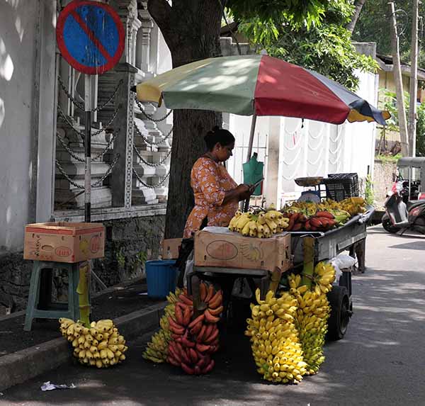 colombo-092026