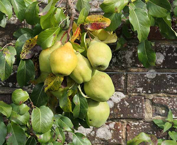 fall2025-hintonampner