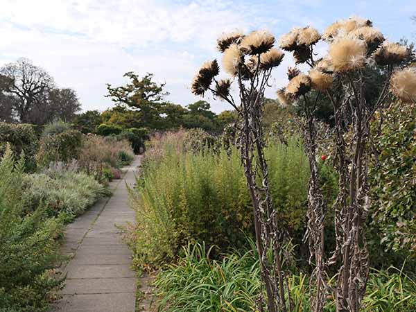 fall2025-hintonampner