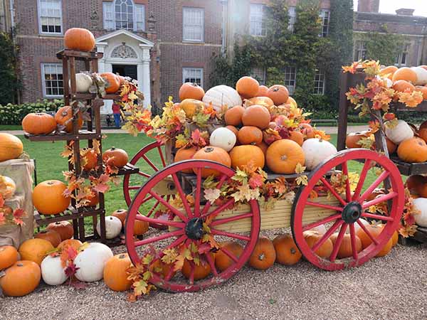 fall2025-hintonampner