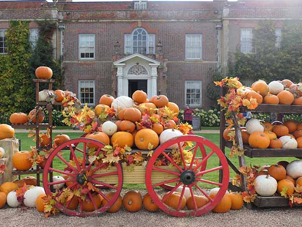 fall2025-hintonampner