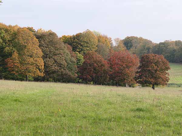 fall2025-hintonampner