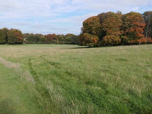 fall2025-hintonampner