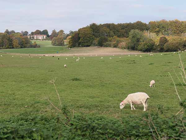 fall2025-hintonampner